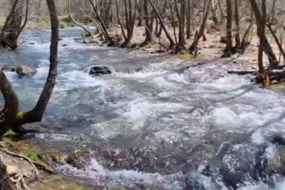 Bursa'da yağışlar barajı doldurdu! Dereler coştu