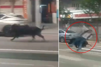 Halk diken üstünde! Kent merkezine inip 3 kişiyi yaraladı