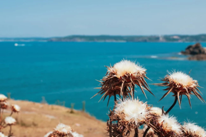 Küresel alarm verildi! Mayıs-Temmuz sıcaklık şoku