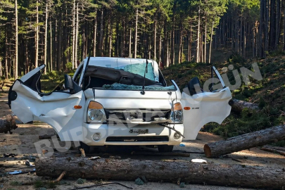 Bursa'da akılalmaz olay! Devrilen ağaç seyir halindeki aracı ezdi: Ölü ve yaralı var