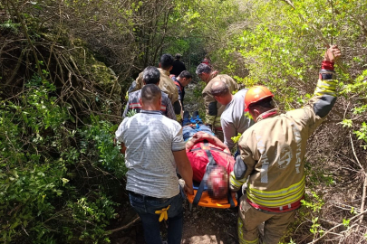 Hatay'da uçurumdan düşen kişi yaralandı