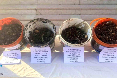 Sason'da endemik bitki operasyonu: 4 kişiye 2 milyon 8 bin lira ceza