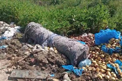Bursa'da dere kenarı çöplüğe döndü! Vatandaş isyan etti...