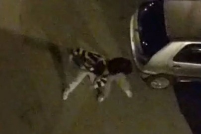 Bursa'da mülteciler sokağı boks ringine çevirdi!