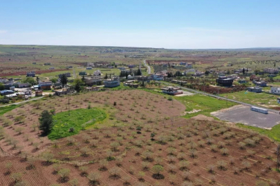 Japonların ve Çinlilerin gözü bu ilçede!