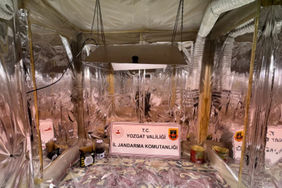 Uyuşturucu yetiştirme düzeneği ve uyuşturucu madde ele geçirildi