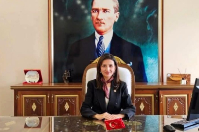 Enez Kaymakamı Ayık'ın da bulunduğu araç kaza yaptı
