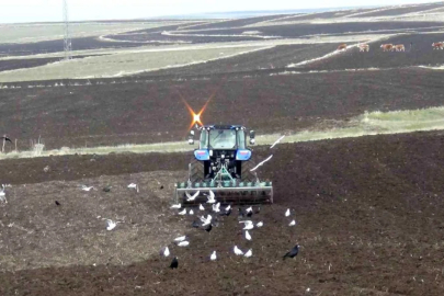 Kars'ta uzayan kış tarım takvimini altüst etti: Çiftçiler zamanla yarışıyor