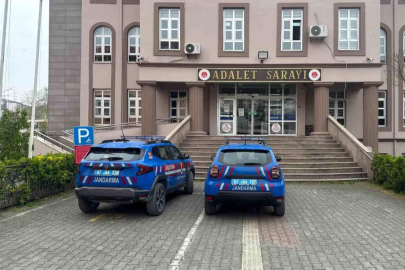 Alaplı'da uyuşturucu operasyonunda 2 kişi tutuklandı