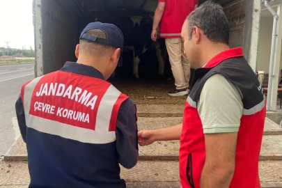 Bursa'da Kurban Bayramı öncesi dolandırıcılık uyarısı!