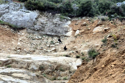 Dağlık alanda mahsur kalan 2 çocuk kurtarıldı