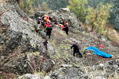 Sivas'ta kayalıklarda mahsur kalan 2 inek AFAD tarafından kurtarıldı