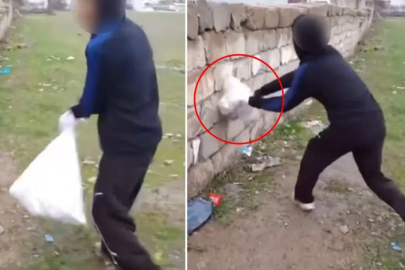 Vicdanları parçalayan görüntü! Kediye böyle eziyet ettiler...