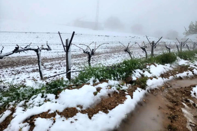 Yüksek kesimlerde ani hava değişimi üreticiyi zorladı