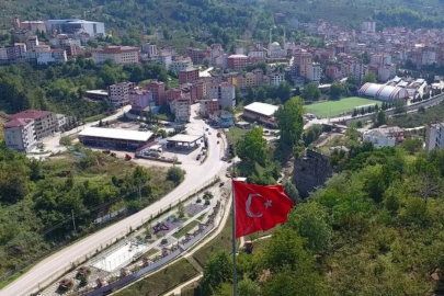 Benzeri görülmemiş teşvik: 10 çocuk yapana sıfır araç!