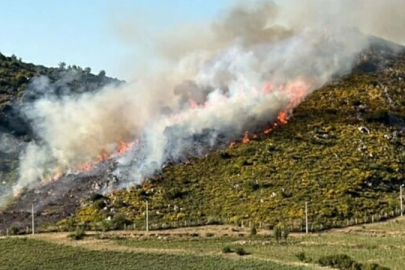 Muğla'da makilik alanda yangın çıktı