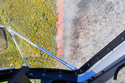 Sıcaklarla birlikte yangın sezonunda başladı! Havadan ve karadan müdahale sürüyor...