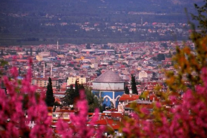 Bursa Erguvan Bayramı nedir? İşte Osmanlı'dan günümüze uzanan mor renkli gelenek