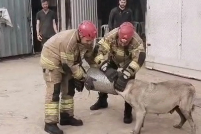 Bursa'da hava filtresine sıkışan köpeği itfaiye ekipleri kurtardı