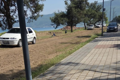 Orhangazi sahilinde araç işgali! Yürüyüş yolu otoparka döndü...