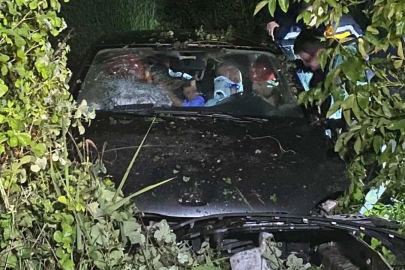 Bursa'da tarlaya uçan otomobilde çok sayıda yaralı!