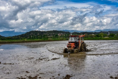Sinop'un Boyabat ilçesinde çeltik ekimine başlandı