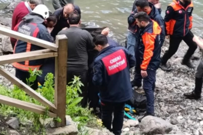Ordu'da şelale göletine giren çocuk can verdi