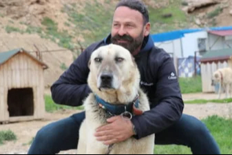 Sivas'ta kangal köpekler depresyonda