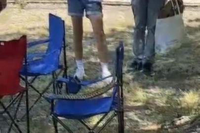 Bursa'da korkutan karşılaşma! Ekipler harekete geçti