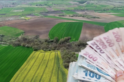 İznik'te milyonluk taşınmazlar satışa çıkıyor! Peşin ödeyene yüzde 20 indirim