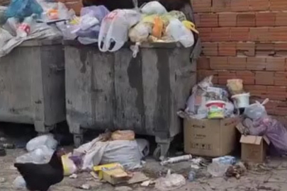 Bursa'da bir mahalleden kötü kokular geliyor!