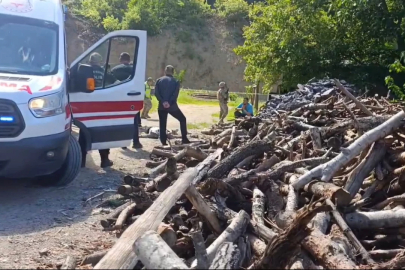Eşini odunla döverek öldürdü!