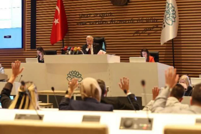 Kayapa'dan Gölyazı'ya uzanan gündem! Nilüfer Meclisi'nde önemli kararlar bekleniyor