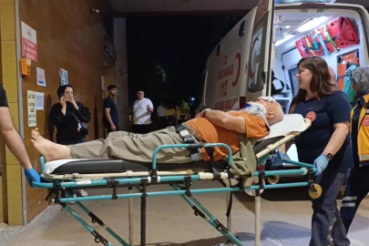 Bursa'da erik toplarken ağaçtan düştü! 70 yaşındaki adam hastaneye kaldırıldı