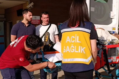 Bursa'da kiraz toplamak isteyen adam ağır yaralandı!