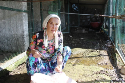 Eski manken Bilun Dohmen, Özgür Özel'e seçim otobüsü almak için Bodrum'daki evini satışa çıkardı
