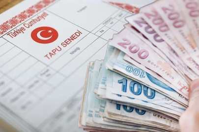 Bursa'da icra yoluyla satış: Orman kenarı tarla ve 33 milyon TL'lik arsa açık artırmada