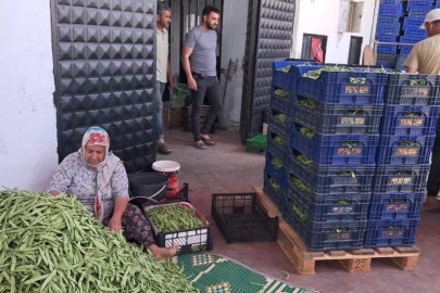 Bursa'da tarımın yeni yıldızı erken uyandı