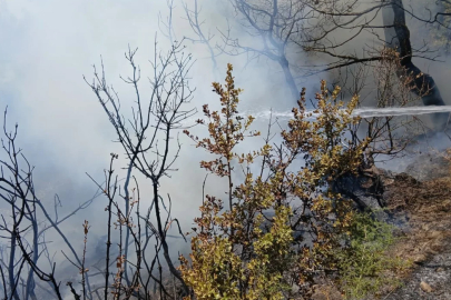 Bursa'da piknik alanının yanı başında yangın!