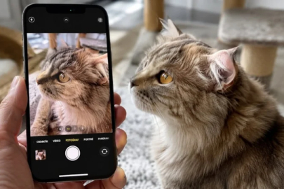 iPhone'daki ilginç kamera ayarı: Pireleri gösteriyor