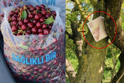 Tartışma yaratan fotoğrafla ilgili gerçek ortaya çıktı!