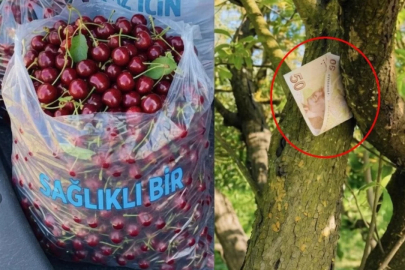 Tartışma yaratan fotoğrafla ilgili gerçek ortaya çıktı!