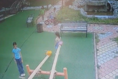Tüyleri diken diken eden görüntü!