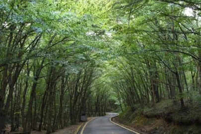 Bursa'da orman yollarına büyük yatırım: İnegöl'de 27 kilometrelik yol çalışması için ihale süreci başlıyor