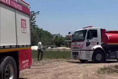 Bursa'da yangın tarlayı vurdu! Yüzlerce hortum kullanılamaz halde