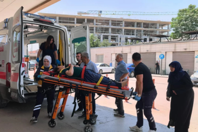 Bursa'da yürekleri ağıza getiren kaza: Erik toplarken kabusu yaşadı