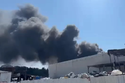 Şehrin birçok noktasından görüldü! Bursa'da yangın paniği
