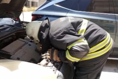 Aracın motoruna sıkışan kedi itfaiye müdahalesiyle kurtarıldı
