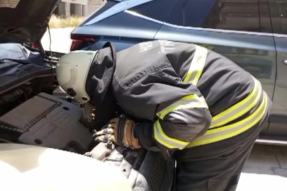 Aracın motoruna sıkışan kedi kurtarıldı