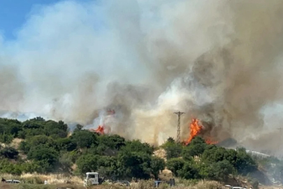 Çanakkale'de orman yangını